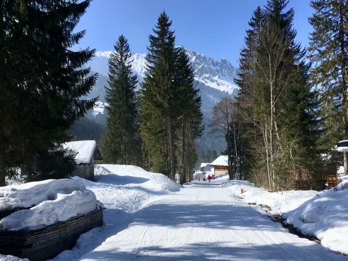 Appartement Marmotte 1