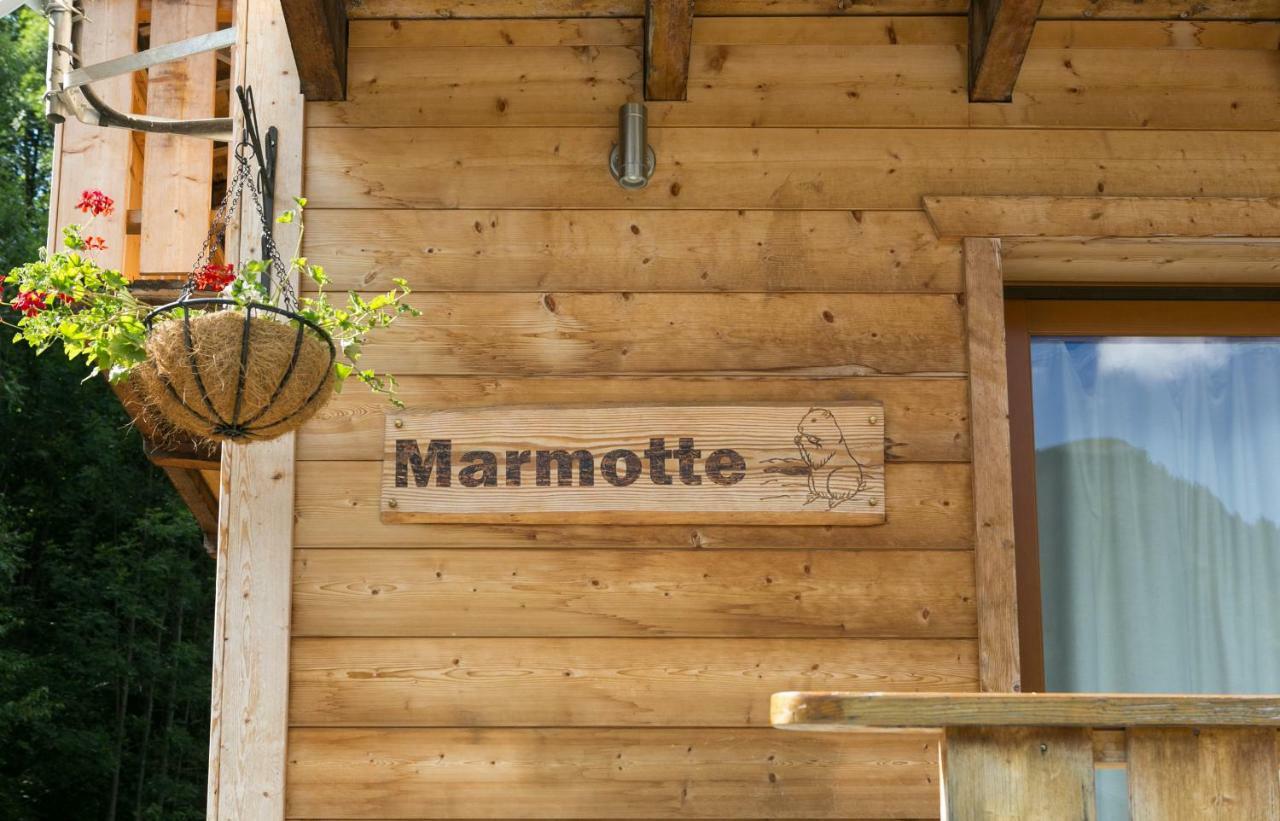 Marmotte 1 * Morzine