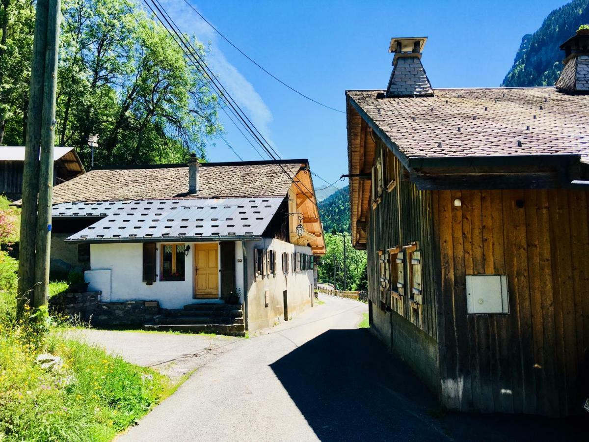 Marmotte 1 *