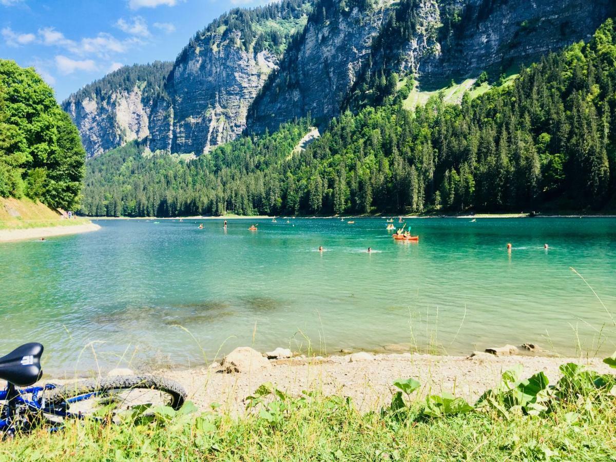 Marmotte 1 Morzine